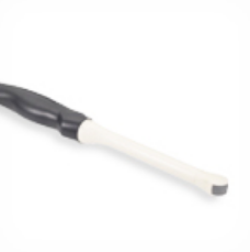 Endocavitario ALPINION EV3-10T